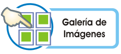 |/galeria/proyectos/galeria_proyectos.html